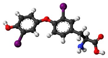 Colorful model of Diiodothyronine, at white background, clipart