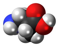 aminoisobutyric acid molecule as a 3d model