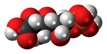 Shiny, grey, red and black model of Phosphogluconic Acid, clipart