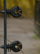 Close-up of the electricity ring insulators, with the wires, at blurred background