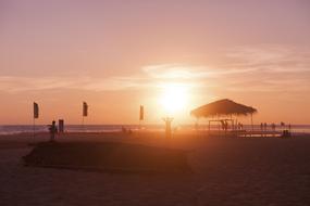 silhouettes of umbrellas and people on the beach at dusk