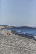 Nature Water beach