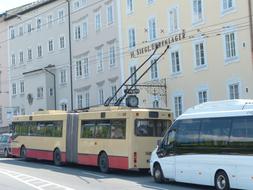 photo of a trolleybus and a minibus at the bus stop