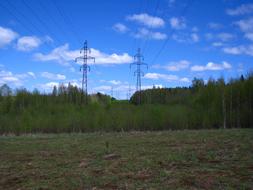 power lines in green forest