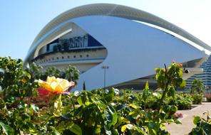 Beautiful and colorful Turia Gardens, with the building in Valencia, Spain, in light