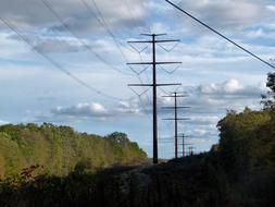 Beautiful landscape with the electricity power line, among the colorful plants