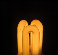 Bulb Light Electricity orange