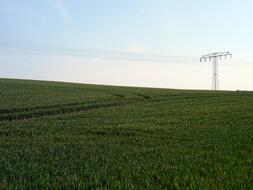 distant view of power line in green field