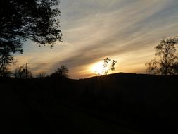 Beautiful landscape with the trees and power lines, at beautiful and colorful sunset in the sky, with the clouds, in the evening