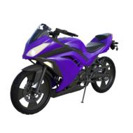 racing motorcycle purple