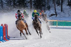 horse racing in the snow in Switzerland