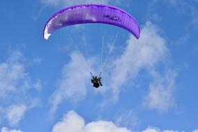 Paraglider, flying with the beautiful and violet parachute, at blue sky with white clouds on background