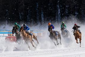 horse ricing in winter