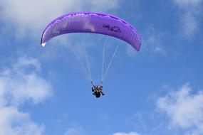 delightful Paragliding