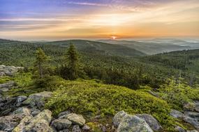 Beautiful panorama of the green Lusen mountain with trees and rocks, at colorful sunrise in the sky in Bavaria, Germany