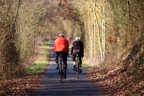 Cyclists Drive in forest