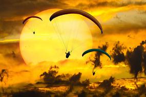 paragliders at sunset in the sky