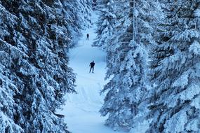 landscape of Route Ski Vacations