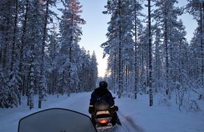 Scooter Snow