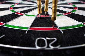 Dart Sport board
