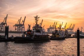 tugboats and cranes at the port in Hamburg