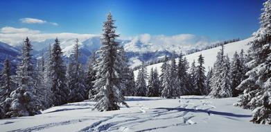 Wintry Skiing