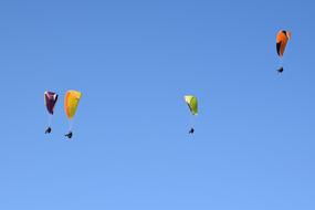 Paraglider Paragliders