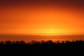 golden dawn over the forest