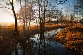 sunrise above river in wilderness at fall, germany