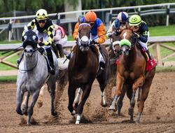horse racers