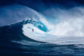 Surfer, surfing on the beautiful, blue and white wave of the ocean