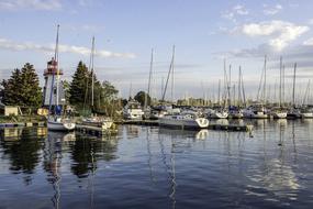 sailboats on Lake Ontario, Toronto