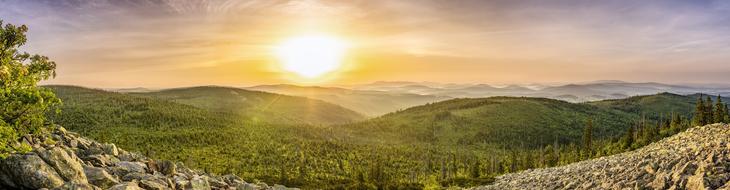sunrise over forest, germany, bavaria