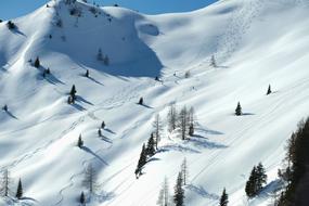 Landscape of ski tracks on Winter Nature