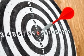 Target Goal Success