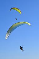 Paragliders