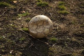 Football Old broken Ball