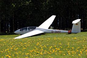 Glider Meadow