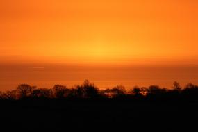 Beautiful landscape with the silhouettes of the trees, at orange and brown, gradient sunrise