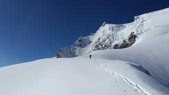 Ortler Backcountry Skiiing