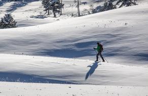 Skier in the beautiful, snowy cross country, in the Yellowstone National Park, Wyoming, USA, near the trees
