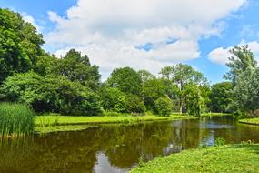 green Trees at Pond, netherlands, amsterdam