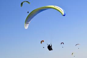 group of sportsmen paragliding in the blue sky