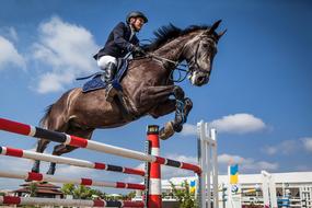 rider on a horse while jumping over a hurdle in sports