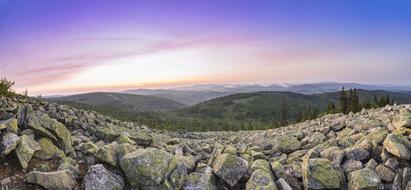 rocks and trees on Mount Lusen, Bavaria