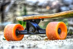 Skateboard Mature