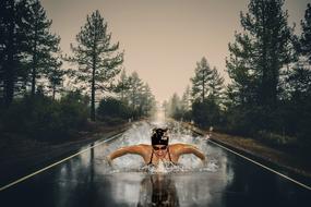 mystical photo of an athlete swimming on the highway