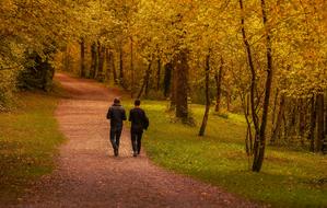 Friends, two Men walking away on path through forest