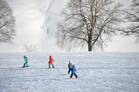 Children Ski Lessons