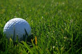 white Golf Ball on grass